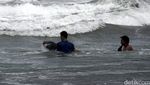 Lumba-Lumba Terdampar di Pantai Cilacap