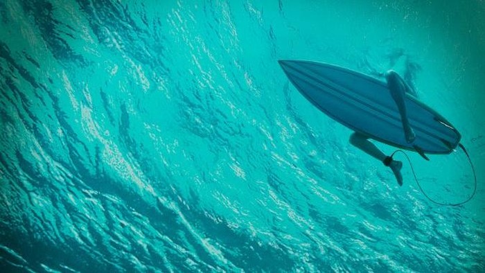 The Shallows