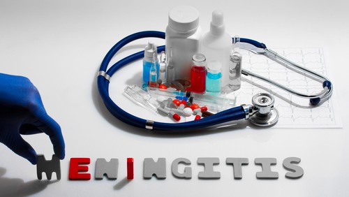 The organs of the central nervous system (brain and spinal cord) are covered by 3 connective tissue layers collectively called the meninges.