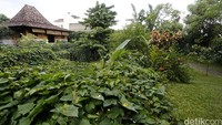 Rumah Anies memiliki halaman yang luas dan asri.