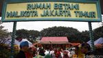 Ratusan Orang Hadiri Lebaran Betawi 2016