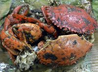 Sudah Gajian? Manjakan Lidah dengan Makan <i>Seafood</i> di 5 Restoran Ini 