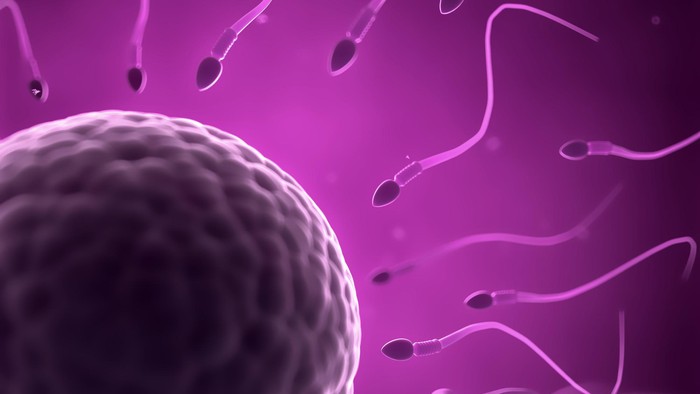 ilustrasi sperma