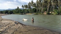 Foto: Aktivitas sehari-hari warga lokal bisa traveler lihat di sini, misalnya seorang warga yang tampak memandikan kudanya. Namun sayang, beberapa sisi objek wisata ini tampak kotor oleh sampah (Ahmad Masaul/detikTravel)
