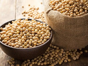 Siap-siap Harga Tahu dan Tempe Naik Karena Kedelai Impor