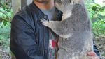 Senangnya Memeluk Koala di Brisbane