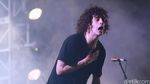 The 1975 Bikin ABG Histeris di WTF 2016