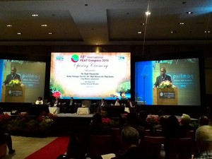 Benarkah Pembukaan Kebun Kelapa Sawit di Lahan Gambut Merusak Lingkungan?