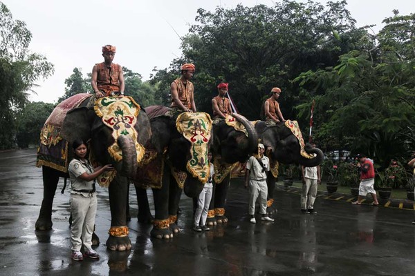 Kamu yang liburan dengan anak-anak, bisa nih berkunjung ke Bali Safari Marine Park. Ini adalah kebun binatang di Bali dengan luas 400.000 meter persegi lho. (dok Bali Safari and Marine Park) Kamu yang liburan dengan anak-anak, bisa nih berkunjung ke Bali Safari Marine Park. Ini adalah kebun binatang di Bali dengan luas 400.000 meter persegi lho. (dok Bali Safari and Marine Park)