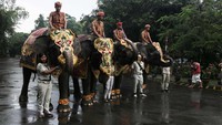 Kamu yang liburan dengan anak-anak, bisa nih berkunjung ke Bali Safari Marine Park. Ini adalah kebun binatang di Bali dengan luas 400.000 meter persegi lho.  (dok Bali Safari and Marine Park)