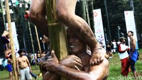 Atur strategi agar dapat mencapai pucuk dan mendapatkan hadiah.