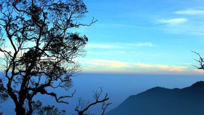 Foto: (Bayu Krisna/dTraveler) Foto: (Bayu Krisna/dTraveler)