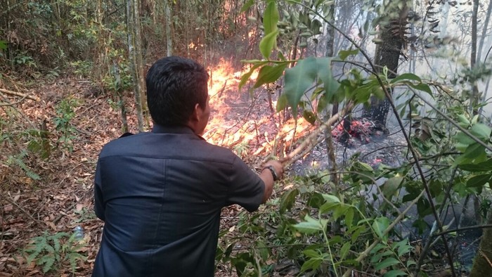 Lahan Sekitar Kampus UNRI Pekanbaru Terbakar