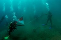 Diving di Teluk Maumere