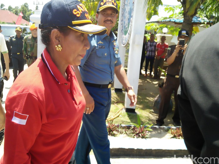 Potensi Tangkapan Ikan di RI Capai 9,9 Juta Ton per Tahun