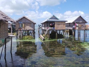 Kenal Lebih Dekat dengan Suku Bajo di Kampung Mola, Wakatobi