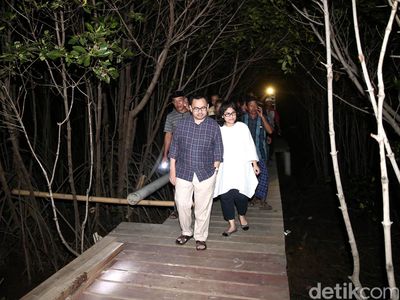 Sudirman Said Susuri Dewi Mangrove