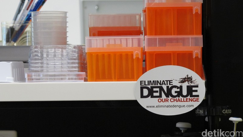 Laboratorium Nyamuk Wolbachia di Monash University, pusat Eliminate Dengue Program.