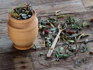 Kata Dokter Soal Konsumsi Obat Herba Selama Jalani Terapi Kanker