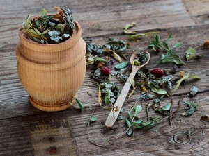 Disebut Bisa Jadi Obat Tradisional, Apa Saja Manfaat Tanaman Gambir?