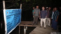 Sudirman Said menyusuri hutan mangrove. Selain istri dan adiknya, dia juga ditemani oleh sejumlah warga Desa Kaliwlingi.