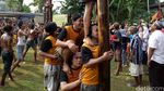Waria Ikut Lomba Panjat Pinang