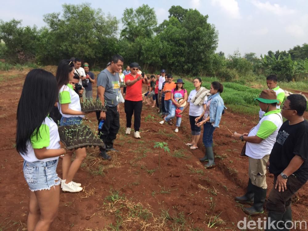 Hari Ini Kelompok Petani Urban Lakukan Tanam Perdana