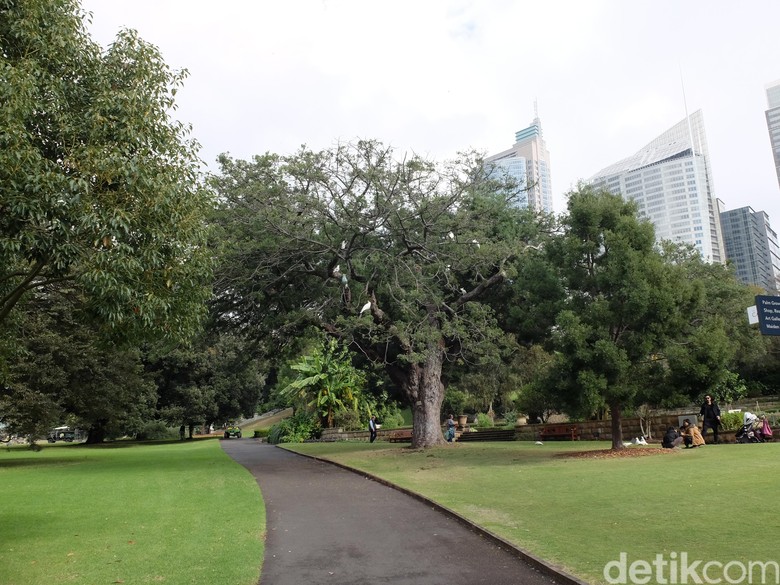 Kebun Raya dan Konsep Tata Ruang Kota di Australia Kebun Raya dan Konsep Tata Ruang Kota di Australia