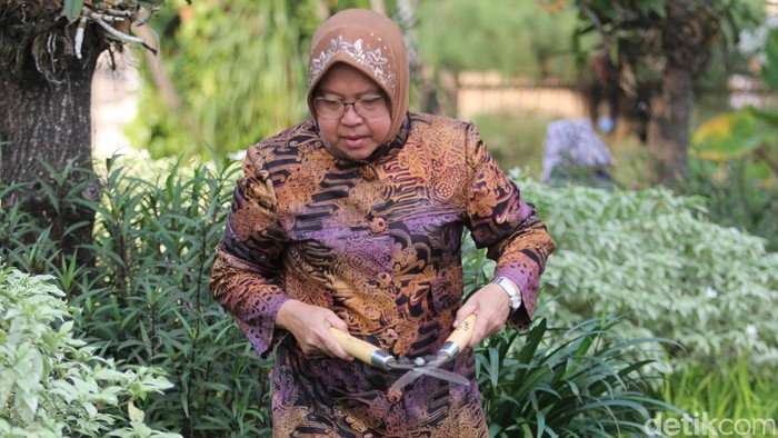 Soal Cagub Jatim PDIP, Risma: Insya Allah Bukan Aku