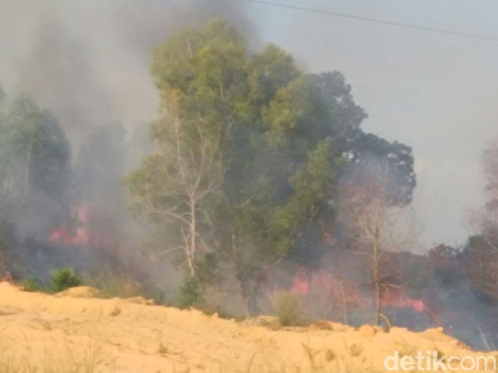 Tolong! Kabut Asap Kian Memburuk di Pekanbaru, Jarak Pandang Sempat 500 M