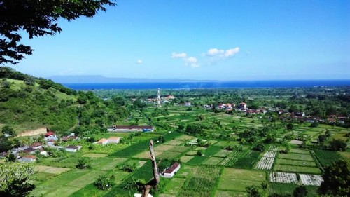Bukit Belong, tempat baru menikmati hijaunya Bali