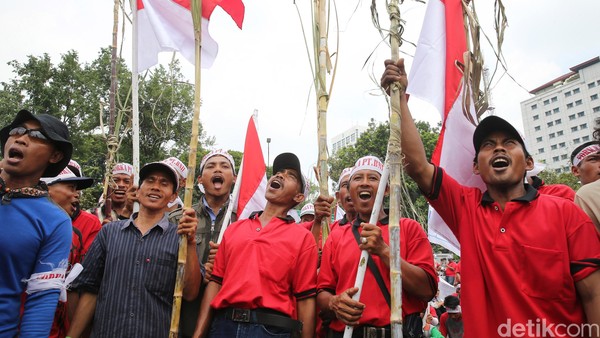 Diubah Jadi Lahan Sawit, Petani Tebu Demo Istana