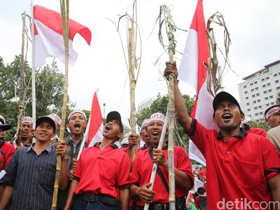Diubah Jadi Lahan Sawit, Petani Tebu Demo Istana