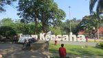 6 Destinasi Rekomendasi Healing di Bogor