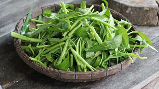 rujak kangkung