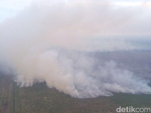 Status Kebakaran Lahan di Riau Masuki Siaga Darurat