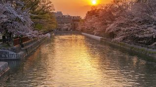 2 Hari yang Romantis di Kyoto