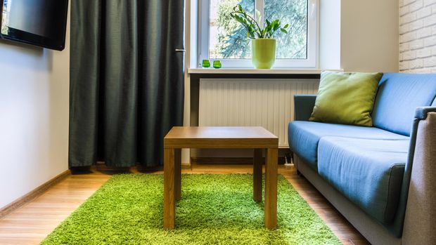 Small comfortable living room with minimalist furniture