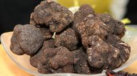 Kabar Buruk! Jamur Truffle Akan Punah Karena Perubahan Cuaca 