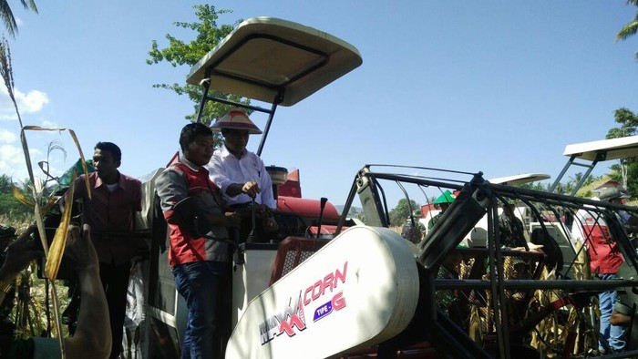 Panas-panasan, Mentan Panen Raya Jagung di Gorontalo