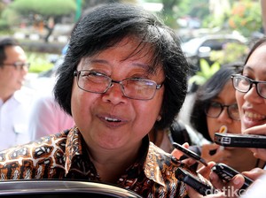 Menteri Siti: Ada Indikasi PT APSL Gerakkan Masyarakat
