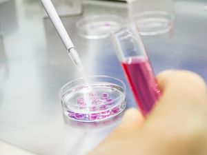 Ketahui Jenis-Jenis Sampling Agar Tak Salah saat Penelitian