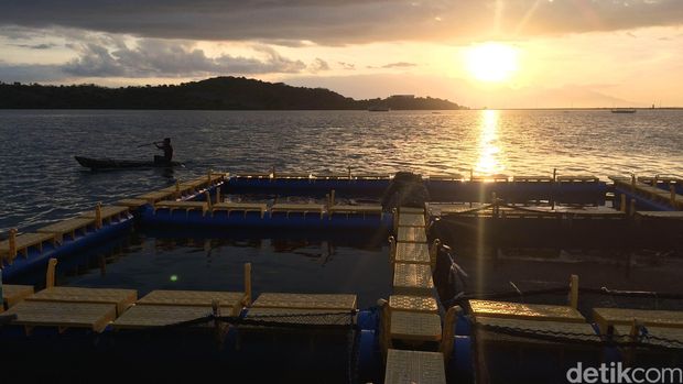 Teluk Pulau Bungin, NTB
