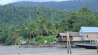 Kepulauan Karimata memiliki sekitar 60 pulau kecil. Yang paling populer adalah Pulau Karimata yang dapat ditempuh dengan speedboat selama 2-3 jam perjalanan (Randy/detikTravel)