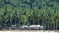 Selain Pulau Karimata, terdapat juga Pulau Kepayang. Pulau tersebut tengah dipersiapkan Pemerintah untuk wisata konservasi yang ramah lingkungan (Randy/detikTravel)