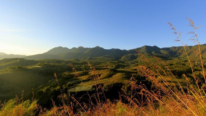 Kota di Flores