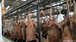 Mengunjungi Pasar Kakiyah di Makkah