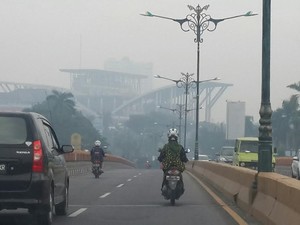 Pak Jokowi, Jarak Pandang di Pekanbaru Kian Buruk karena Asap
