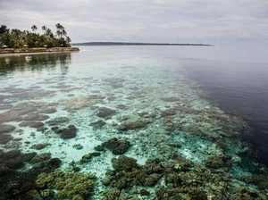 PT Pelni Hadirkan Paket Wisata Bahari yang Lengkap