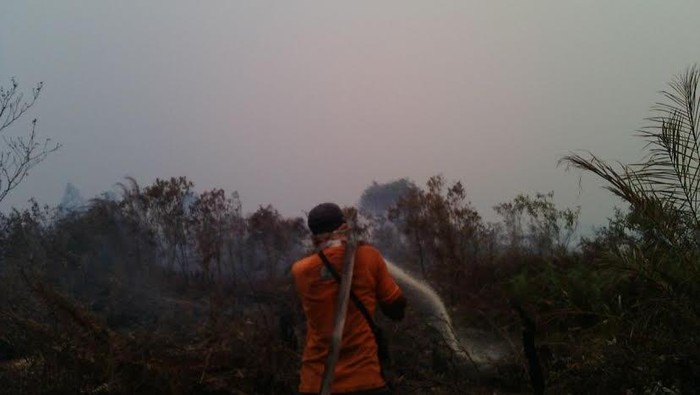 Pekanbaru Dikepung Asap, Ini Penampakan Lahan Terbakar di Riau